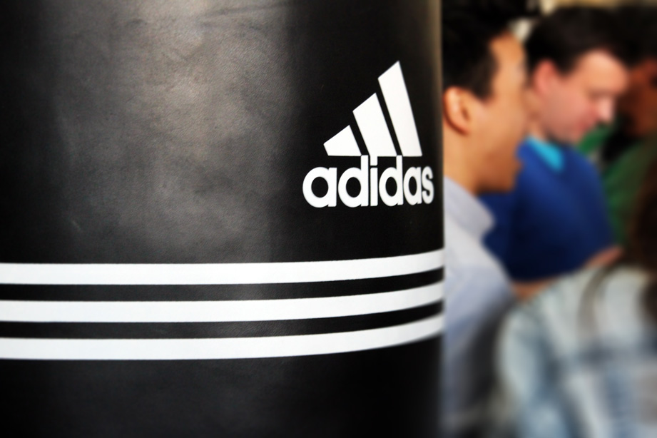 Adidas Punching Bag