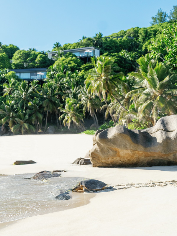 Experiences at the Cheval Blanc Seychelles, Luxury Villas, Indian Ocean, Casol