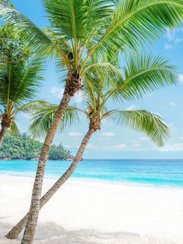 Restaurant at the Cheval Blanc Seychelles, Luxury Villas, Indian Ocean, Casol