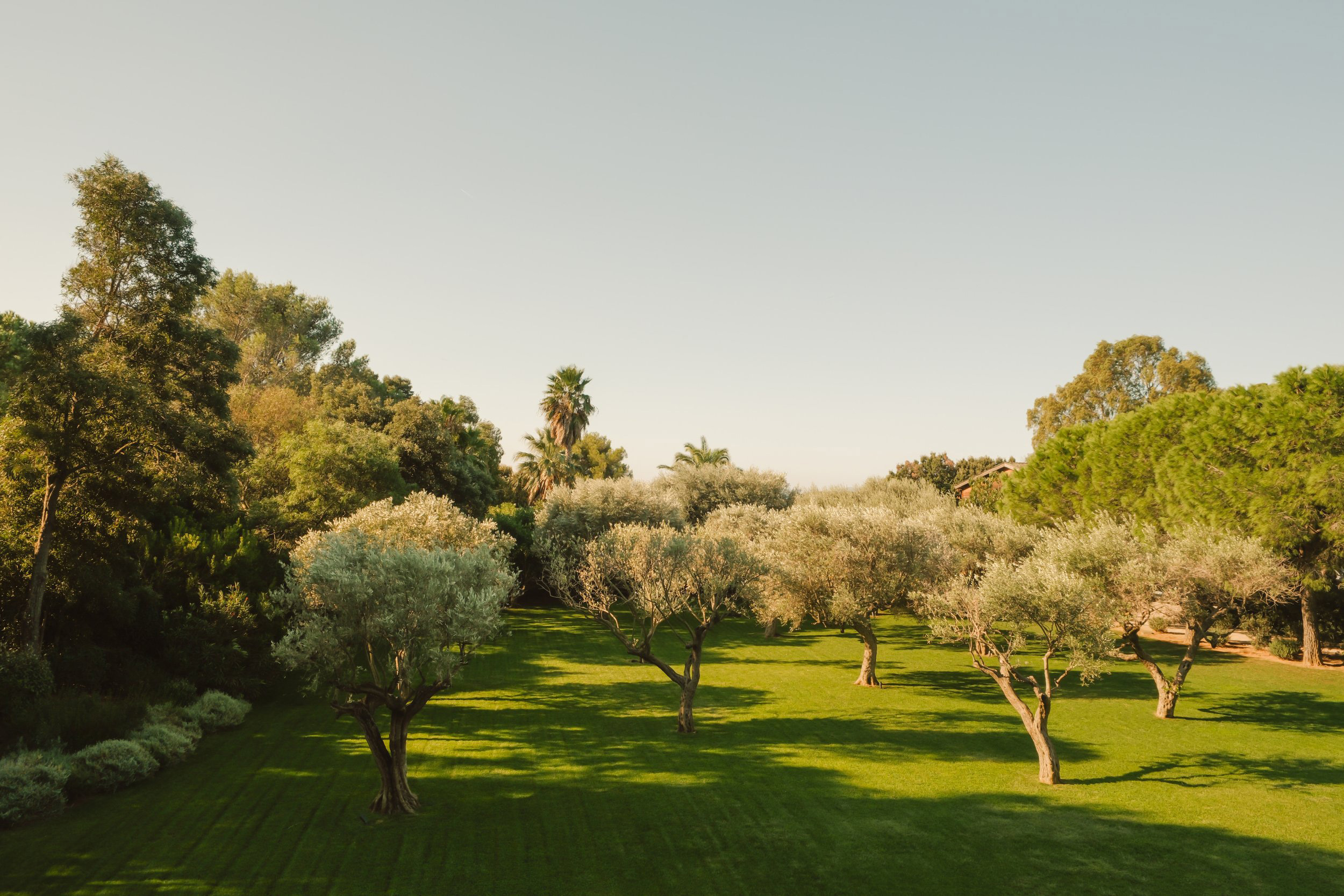 Villa Les Oliviers, Lily of the Valley, St-Tropez, French Riviera, France, Casol